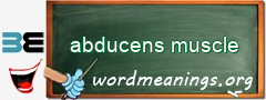 WordMeaning blackboard for abducens muscle